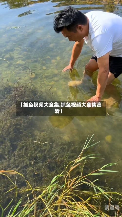 【抓鱼视频大全集,抓鱼视频大全集高清】