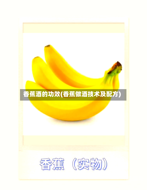 香蕉酒的功效(香蕉做酒技术及配方)