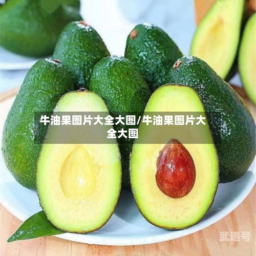 牛油果图片大全大图/牛油果图片大全大图
