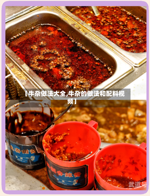 【牛杂做法大全,牛杂的做法和配料视频】