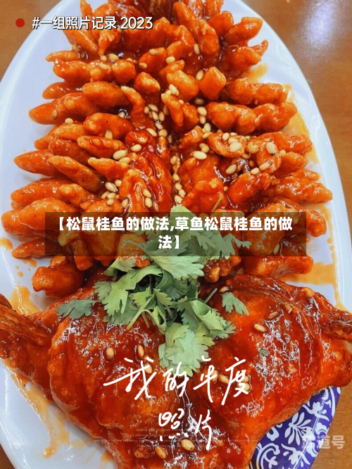 【松鼠桂鱼的做法,草鱼松鼠桂鱼的做法】