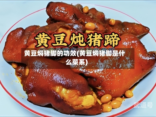 黄豆焖猪脚的功效(黄豆焖猪脚是什么菜系)