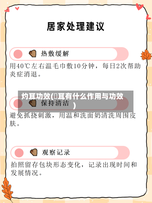 灼耳功效(釆耳有什么作用与功效)