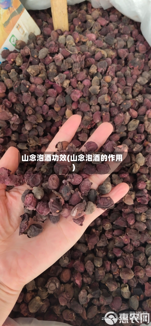 山念泡酒功效(山念泡酒的作用)