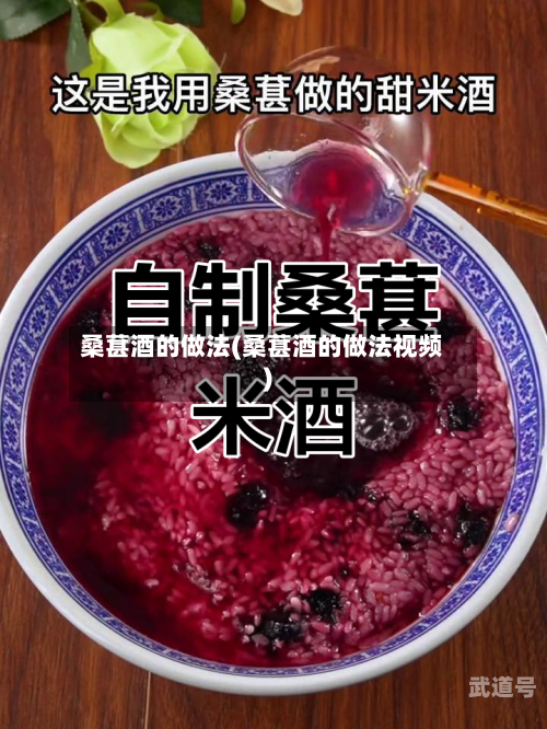 桑葚酒的做法(桑葚酒的做法视频)