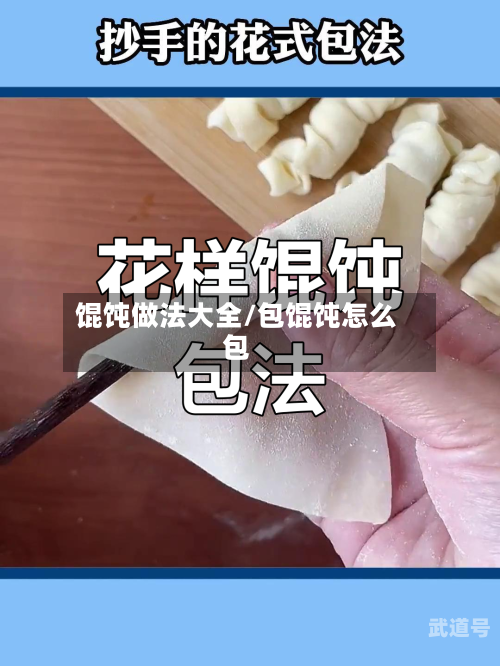 馄饨做法大全/包馄饨怎么包