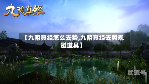 【九阴真经怎么去势,九阴真经去势规避道具】
