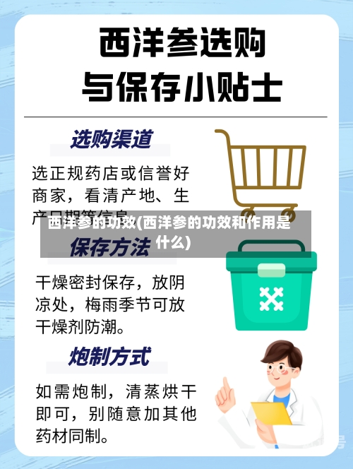 西洋参的功效(西洋参的功效和作用是什么)