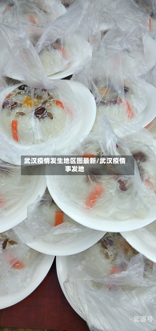 武汉疫情发生地区图最新/武汉疫情事发地