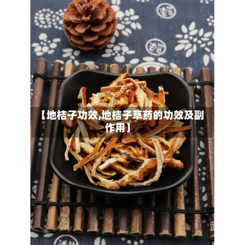 【地桔子功效,地桔子草药的功效及副作用】