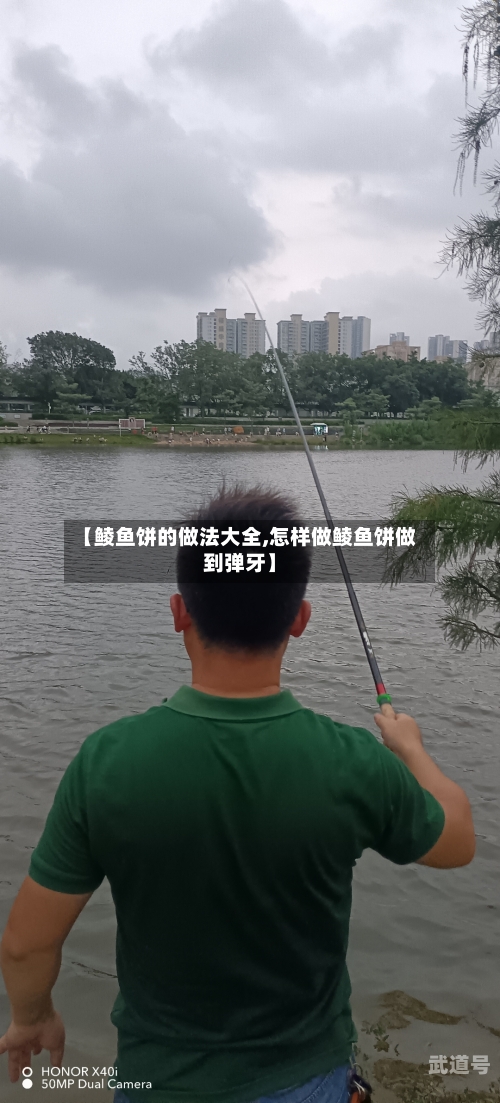 【鲮鱼饼的做法大全,怎样做鲮鱼饼做到弹牙】