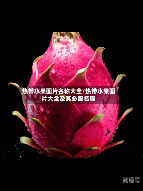 热带水果图片名称大全/热带水果图片大全及其必配名称