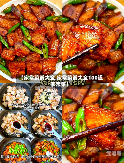 【家常菜谱大全,家常菜谱大全100道家常菜】