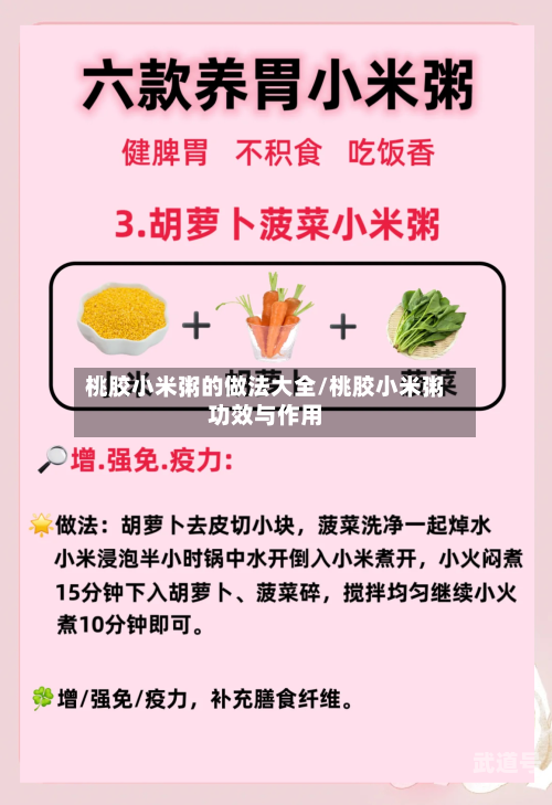 桃胶小米粥的做法大全/桃胶小米粥功效与作用