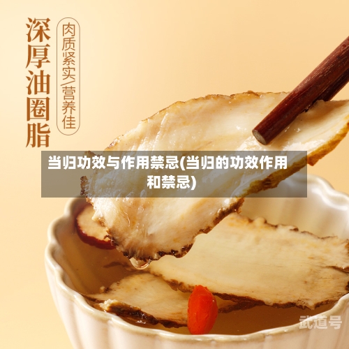 当归功效与作用禁忌(当归的功效作用和禁忌)