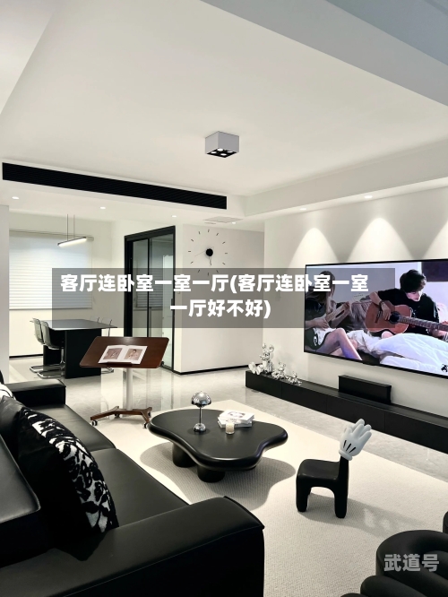 客厅连卧室一室一厅(客厅连卧室一室一厅好不好)