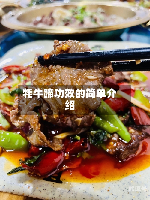 牦牛蹄功效的简单介绍