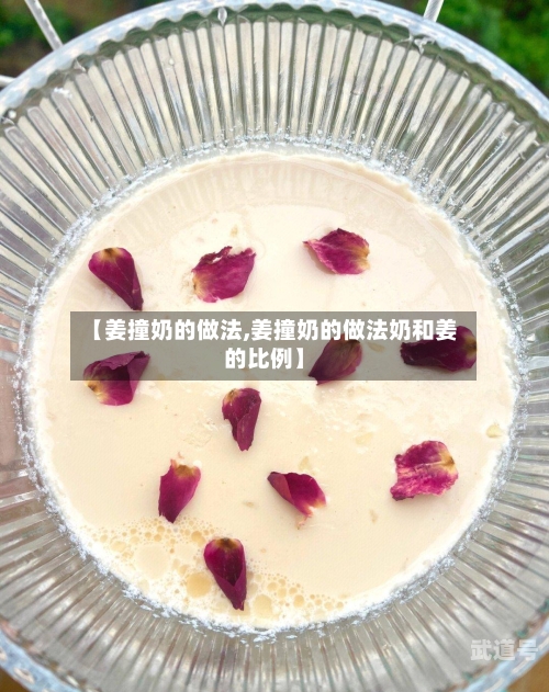 【姜撞奶的做法,姜撞奶的做法奶和姜的比例】