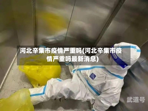 河北辛集市疫情严重吗(河北辛集市疫情严重吗最新消息)