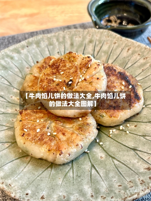 【牛肉馅儿饼的做法大全,牛肉馅儿饼的做法大全图解】