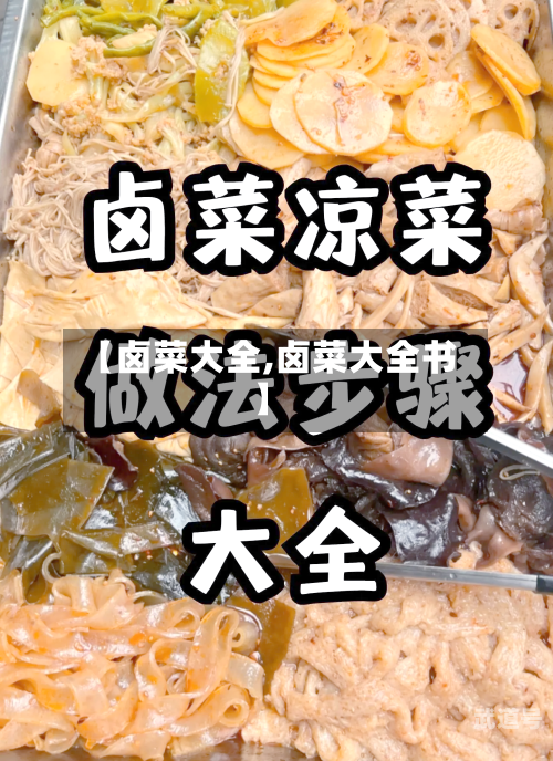 【卤菜大全,卤菜大全书】