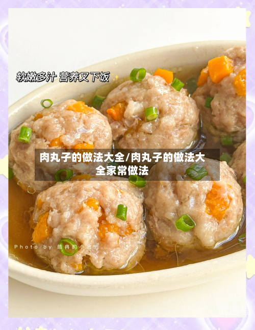 肉丸子的做法大全/肉丸子的做法大全家常做法