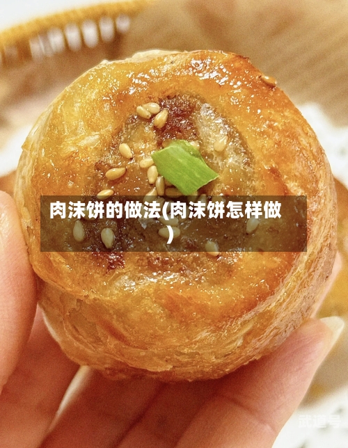 肉沫饼的做法(肉沫饼怎样做)
