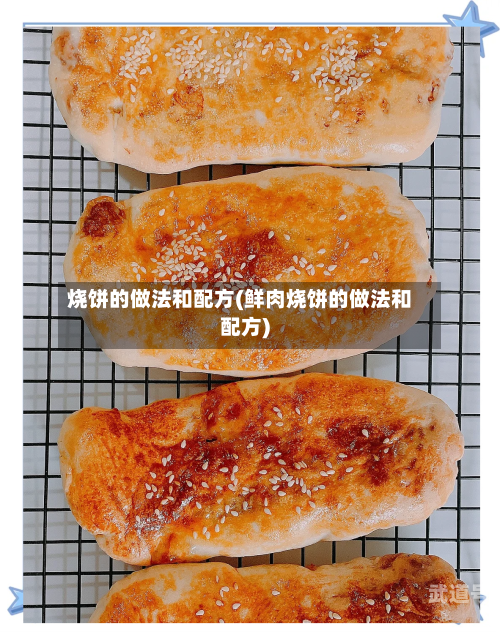 烧饼的做法和配方(鲜肉烧饼的做法和配方)