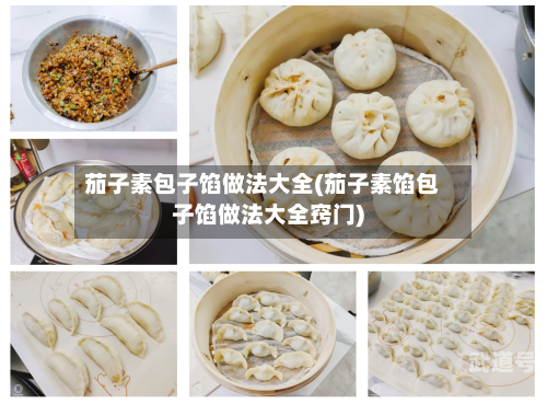 茄子素包子馅做法大全(茄子素馅包子馅做法大全窍门)
