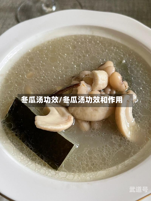 冬瓜汤功效/冬瓜汤功效和作用