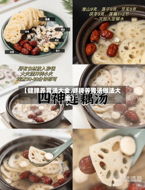 【健脾养胃汤大全,健脾养胃汤做法大全】