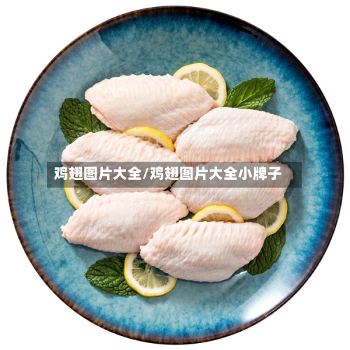 鸡翅图片大全/鸡翅图片大全小牌子