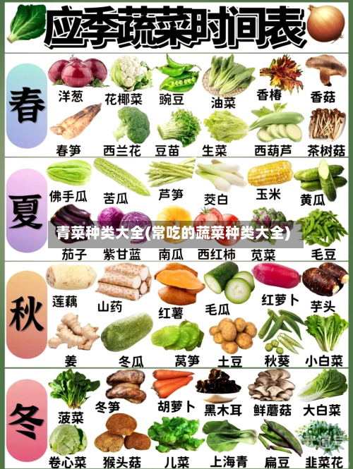 青菜种类大全(常吃的蔬菜种类大全)