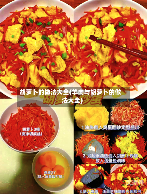 胡萝卜的做法大全(羊肉与胡萝卜的做法大全)