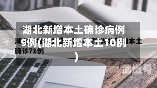 湖北新增本土确诊病例9例(湖北新增本土10例)