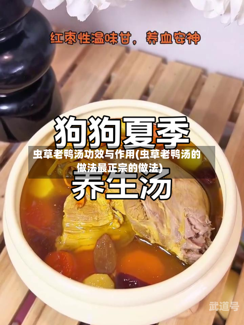 虫草老鸭汤功效与作用(虫草老鸭汤的做法最正宗的做法)