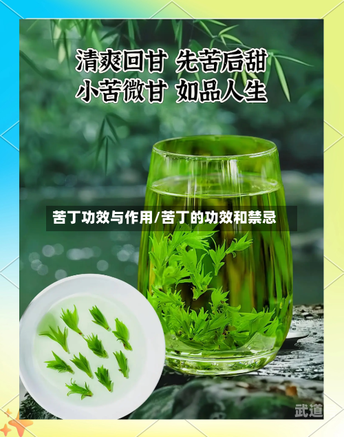 苦丁功效与作用/苦丁的功效和禁忌