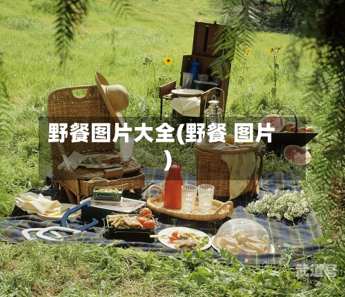 野餐图片大全(野餐 图片)
