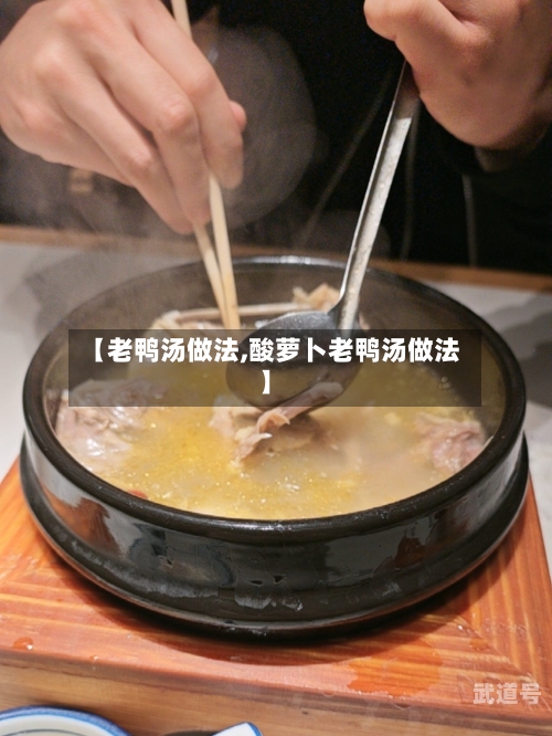 【老鸭汤做法,酸萝卜老鸭汤做法】