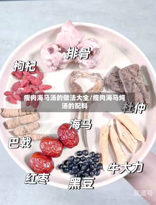 瘦肉海马汤的做法大全/瘦肉海马炖汤的配料