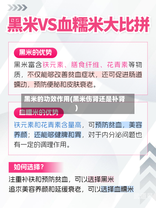 黑米的功效作用(黑米伤肾还是补肾)