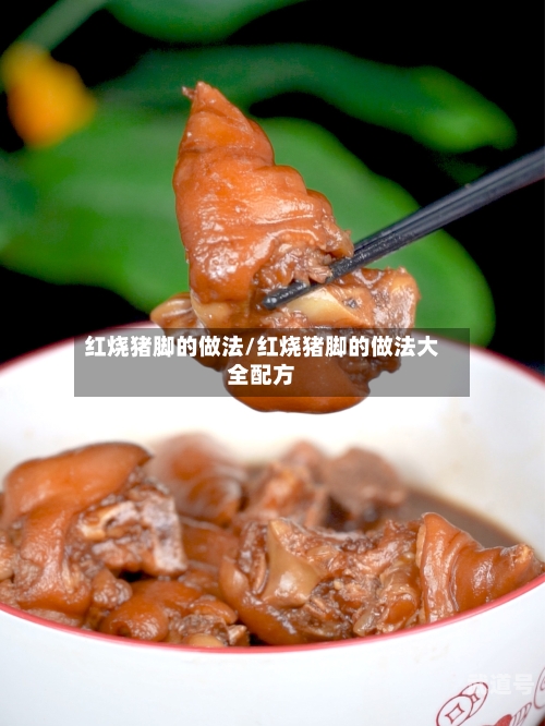 红烧猪脚的做法/红烧猪脚的做法大全配方