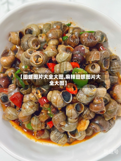 【田螺图片大全大图,麻辣田螺图片大全大图】