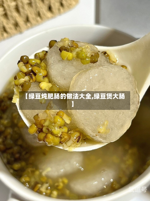 【绿豆炖肥肠的做法大全,绿豆煲大肠】
