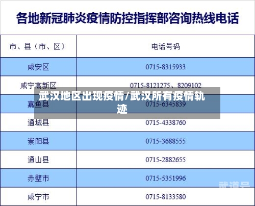 武汉地区出现疫情/武汉所有疫情轨迹