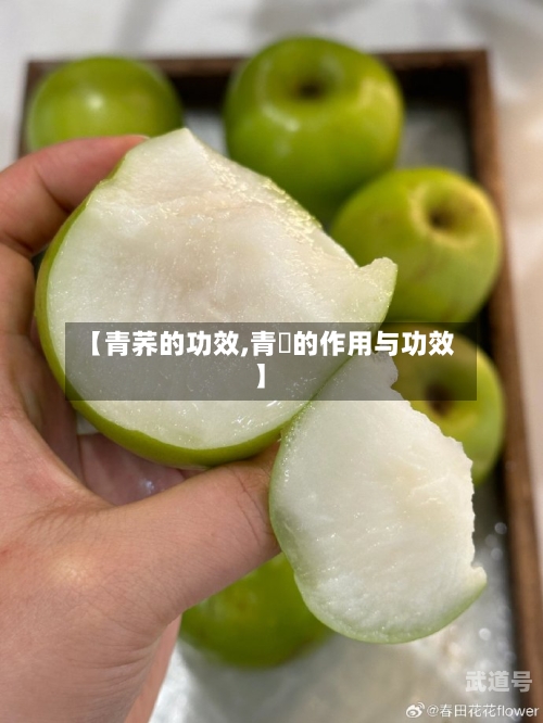 【青荞的功效,青栆的作用与功效】