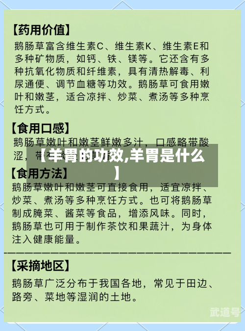 【羊胃的功效,羊胃是什么】