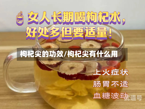 枸杞尖的功效/枸杞尖有什么用