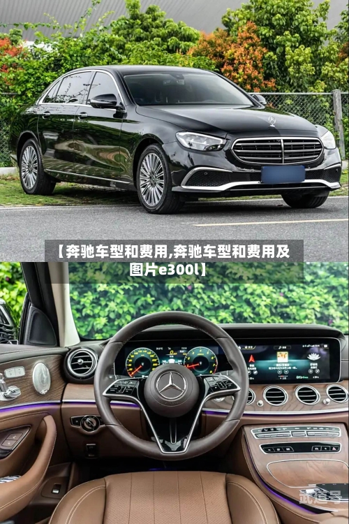 【奔驰车型和费用,奔驰车型和费用及图片e300l】