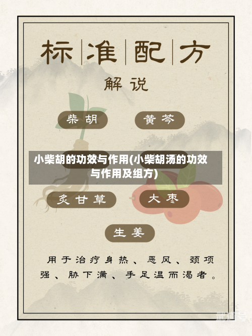 小柴胡的功效与作用(小柴胡汤的功效与作用及组方)